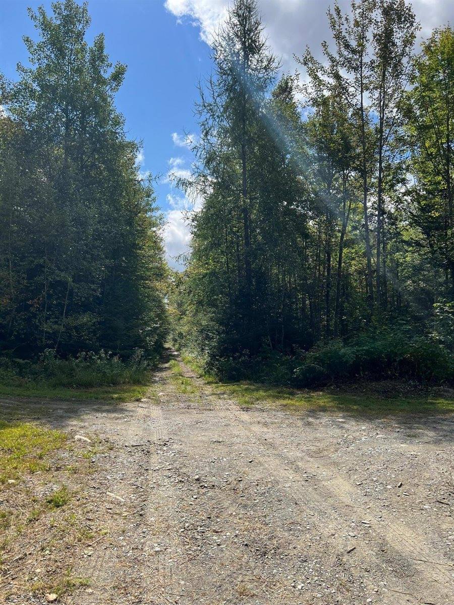 Lot 7 Degerstrom Road, Monson, ME 04464