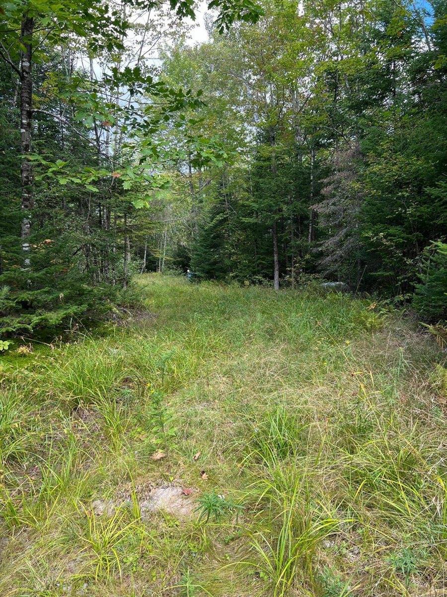 Lot 7 Degerstrom Road, Monson, ME 04464