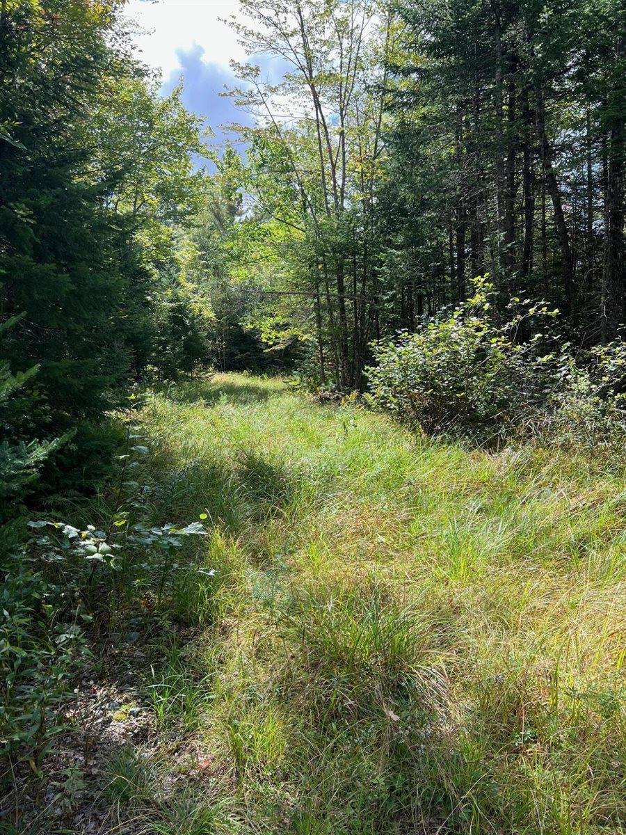 Lot 7 Degerstrom Road, Monson, ME 04464