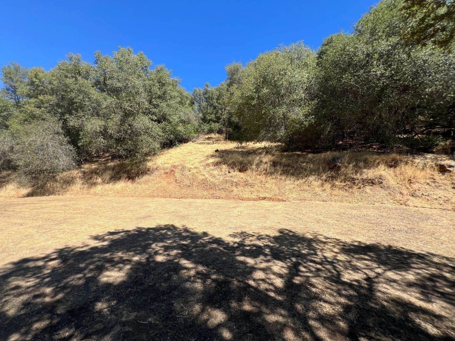 1749 Pinto Road, Angels Camp, CA 95222