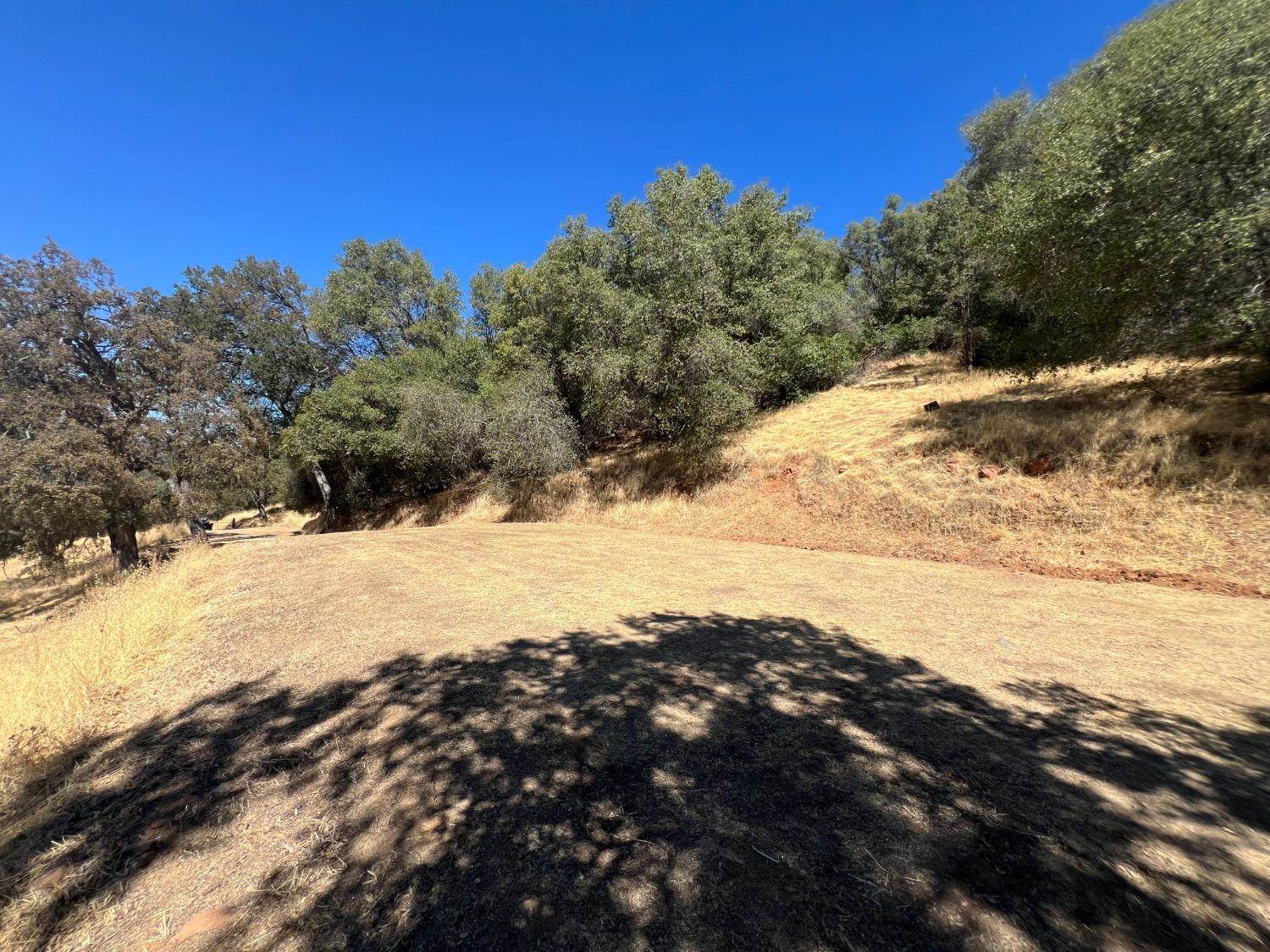 1749 Pinto Road, Angels Camp, CA 95222