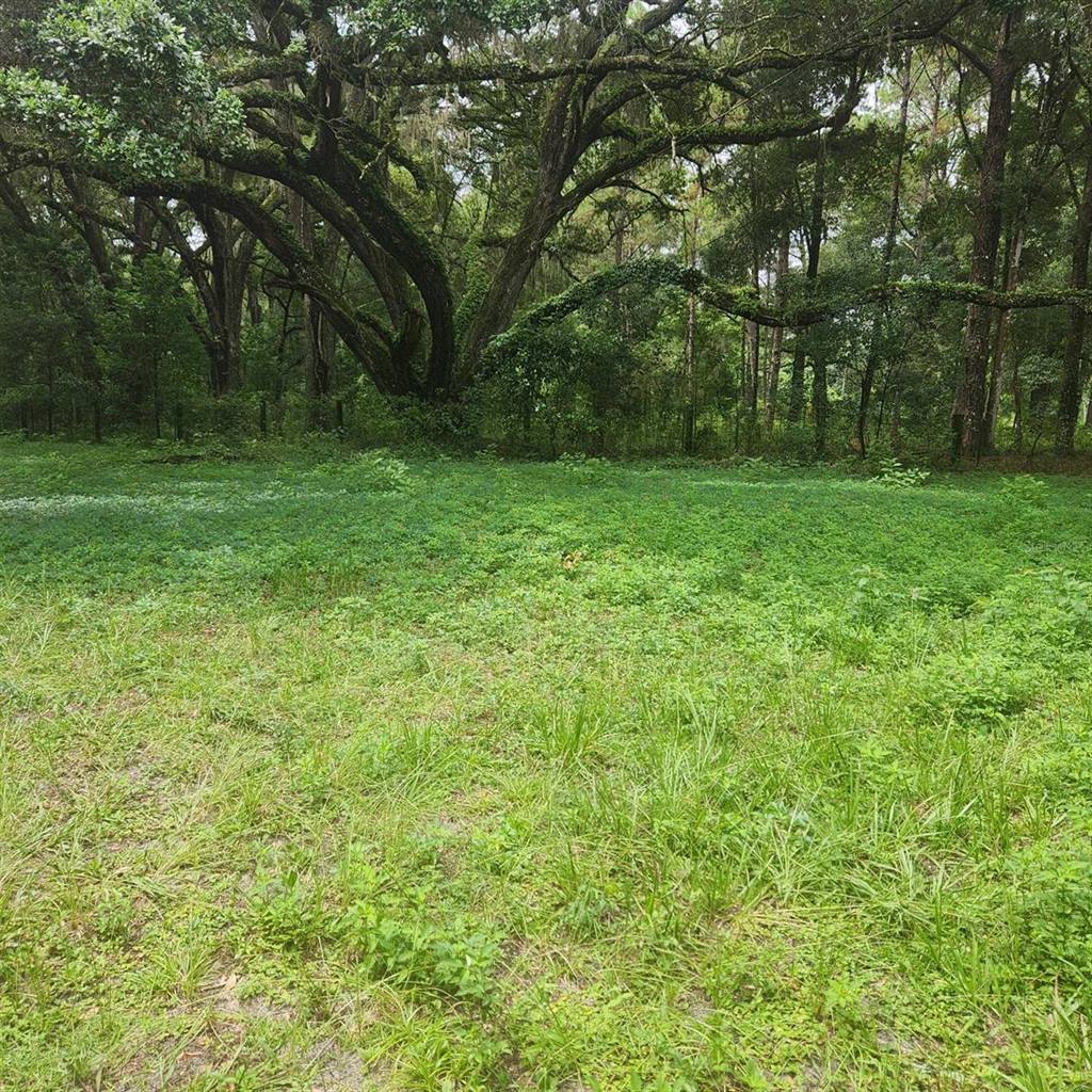 7617 SE 36TH Avenue, Ocala, FL 34480