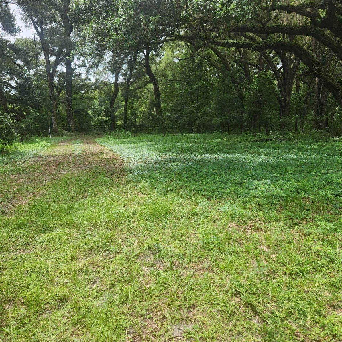 7617 SE 36TH Avenue, Ocala, FL 34480