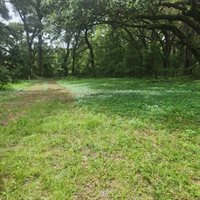 7617 SE 36TH Avenue, Ocala, FL 34480