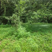 7617 SE 36TH Avenue, Ocala, FL 34480