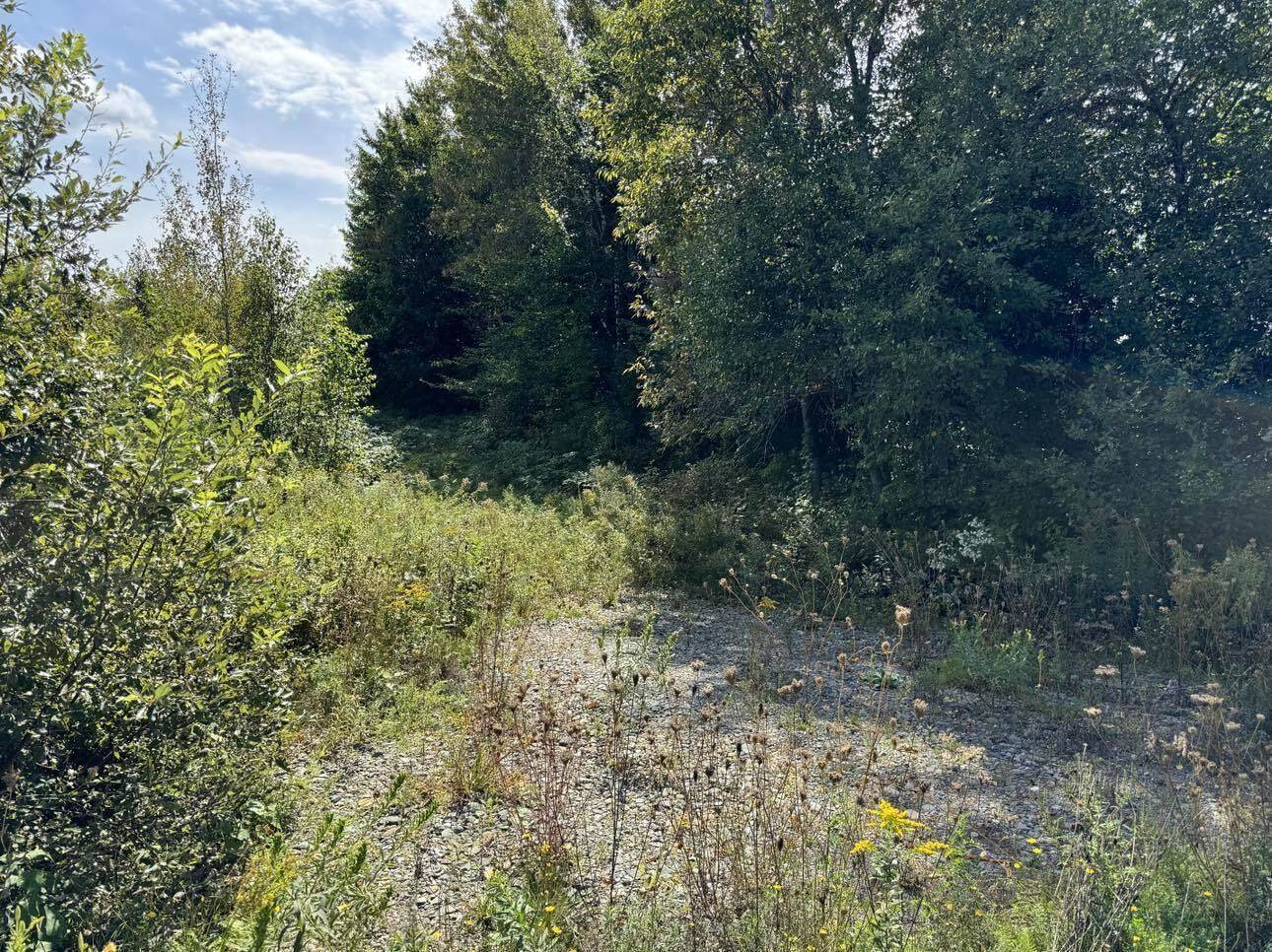 Lot 7-1 Clark Road, Kenduskeag, ME 04450