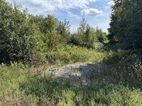 Lot 7-1 Clark Road, Kenduskeag, ME 04450