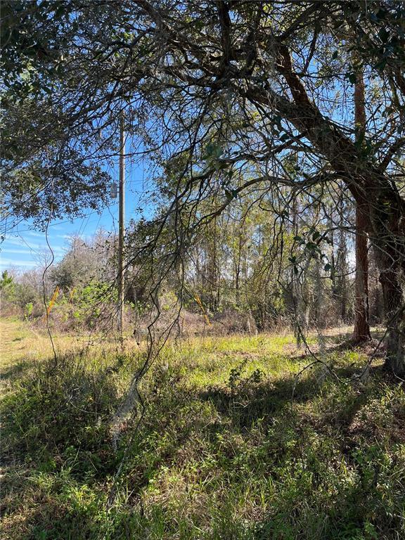 Mount Pleasant Road, Groveland, FL 34736