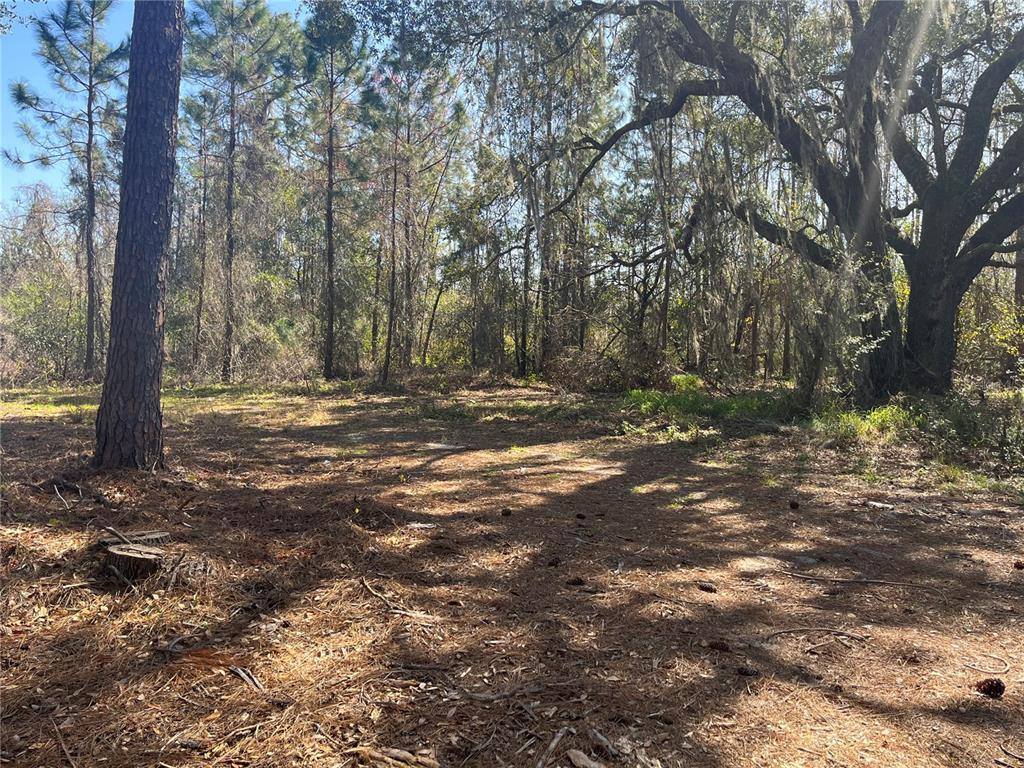 Mount Pleasant Road, Groveland, FL 34736