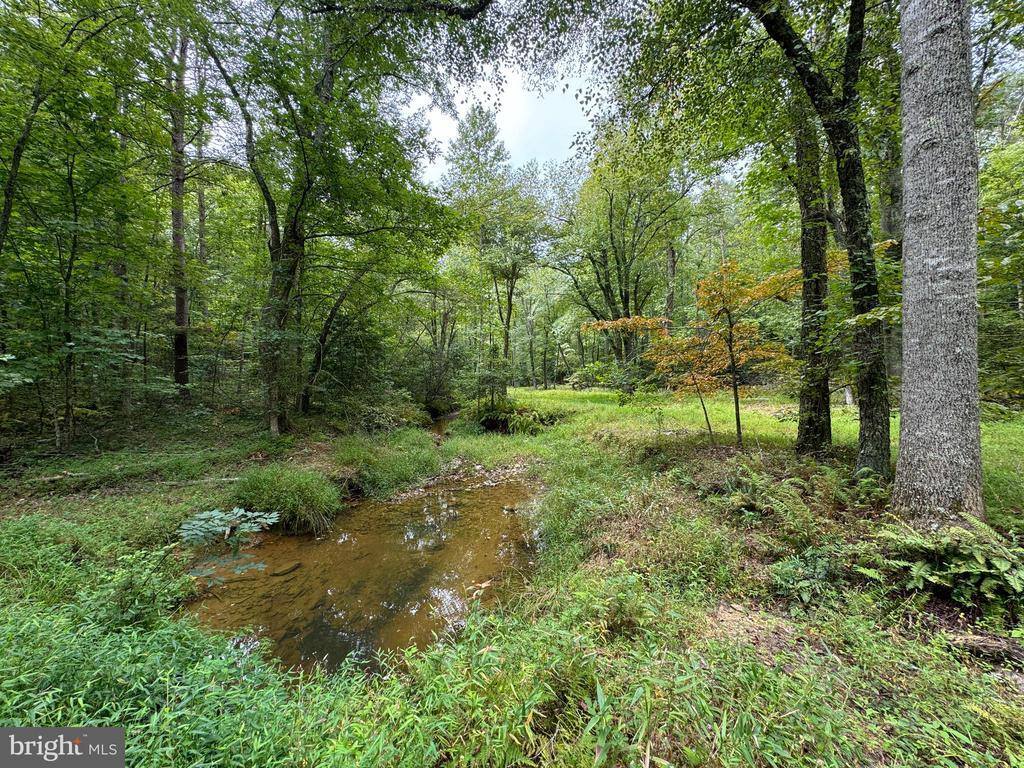 Lot 0110 Mountain Track Road, Orange, VA 22960