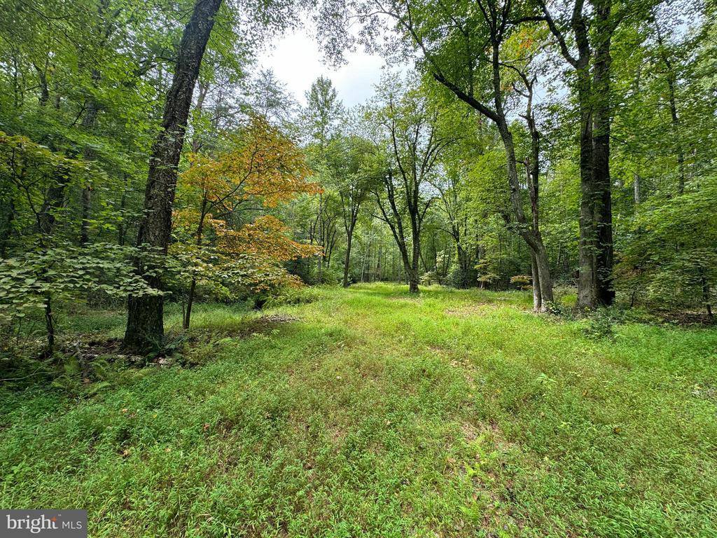 Lot 0110 Mountain Track Road, Orange, VA 22960