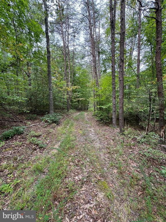 Lot 0110 Mountain Track Road, Orange, VA 22960