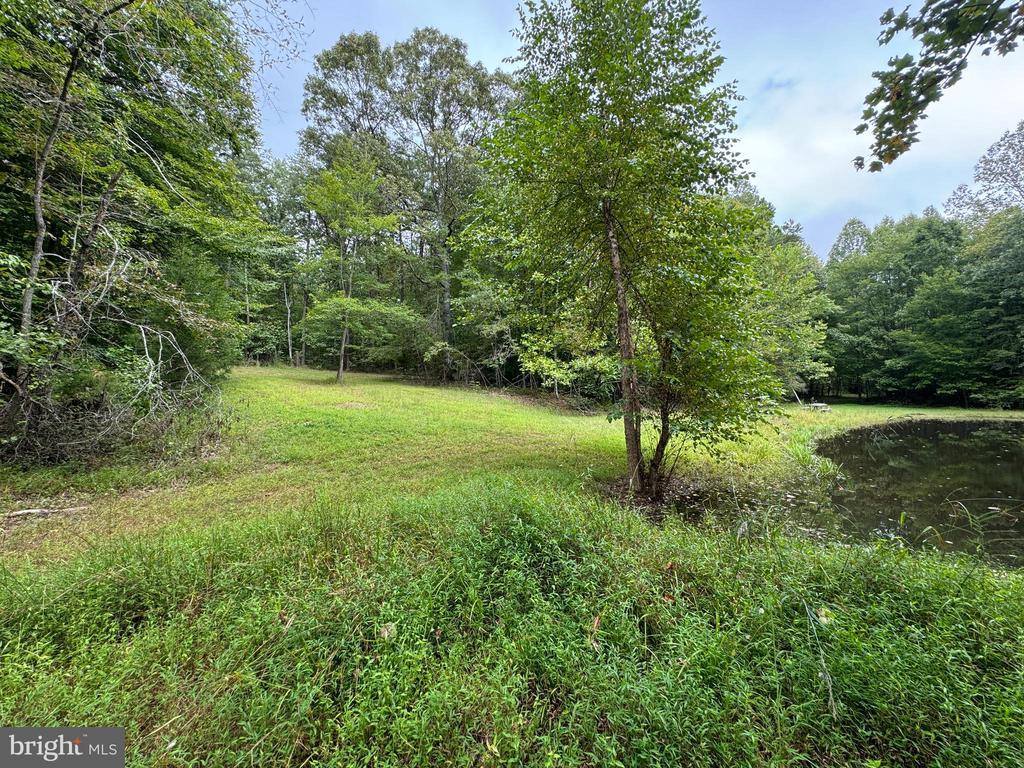 Lot 0110 Mountain Track Road, Orange, VA 22960