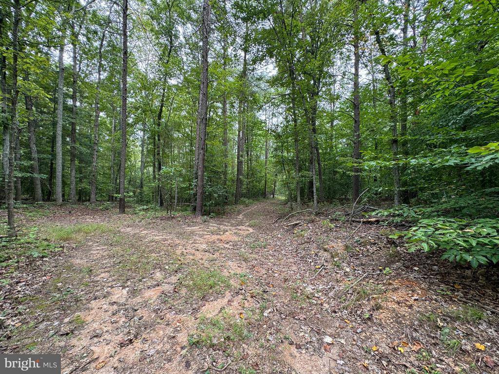 Lot 0110 Mountain Track Road, Orange, VA 22960