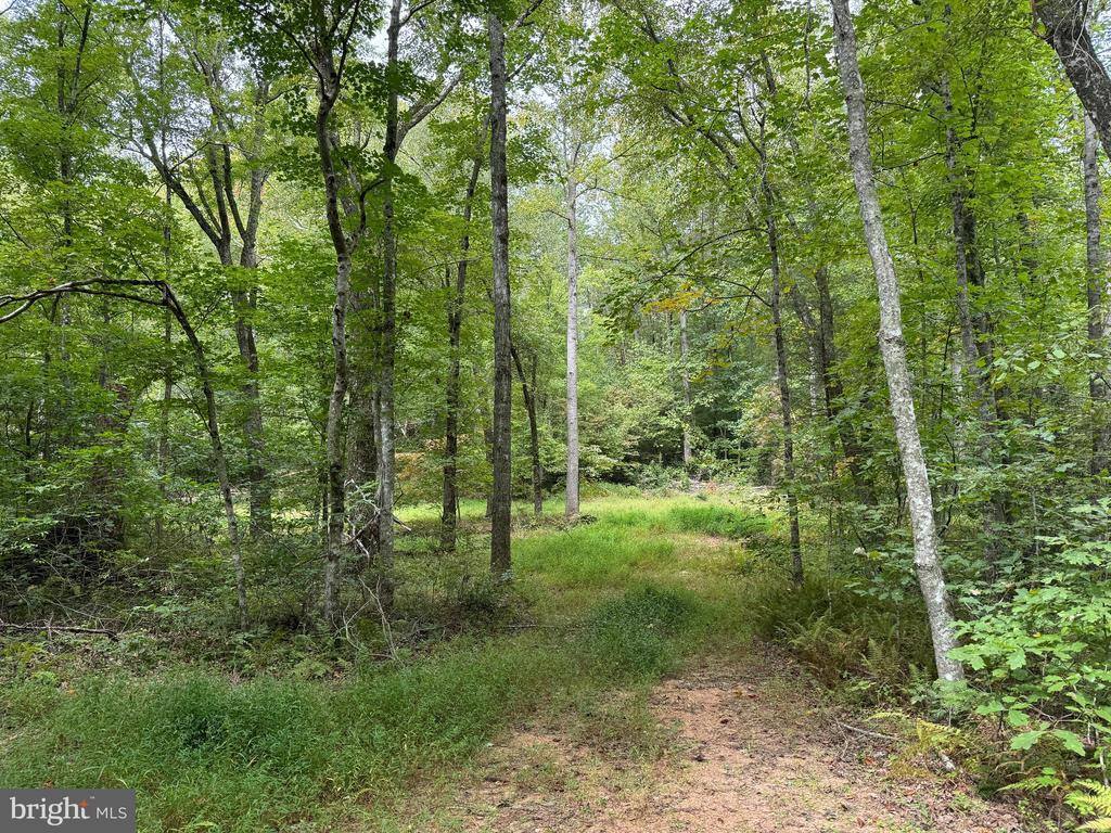 Lot 0110 Mountain Track Road, Orange, VA 22960