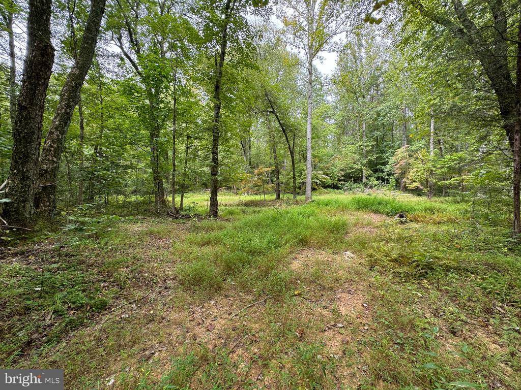 Lot 0110 Mountain Track Road, Orange, VA 22960