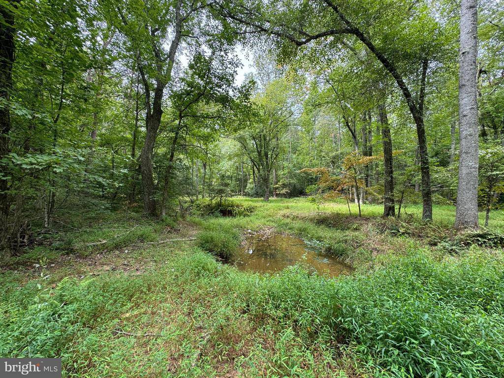 Lot 0110 Mountain Track Road, Orange, VA 22960