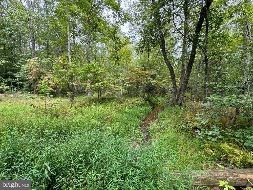 Lot 0110 Mountain Track Road, Orange, VA 22960