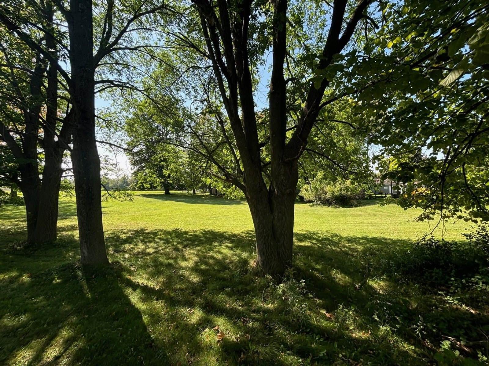 Lot 10 N WOOD AVENUE, Marshfield, WI 54449