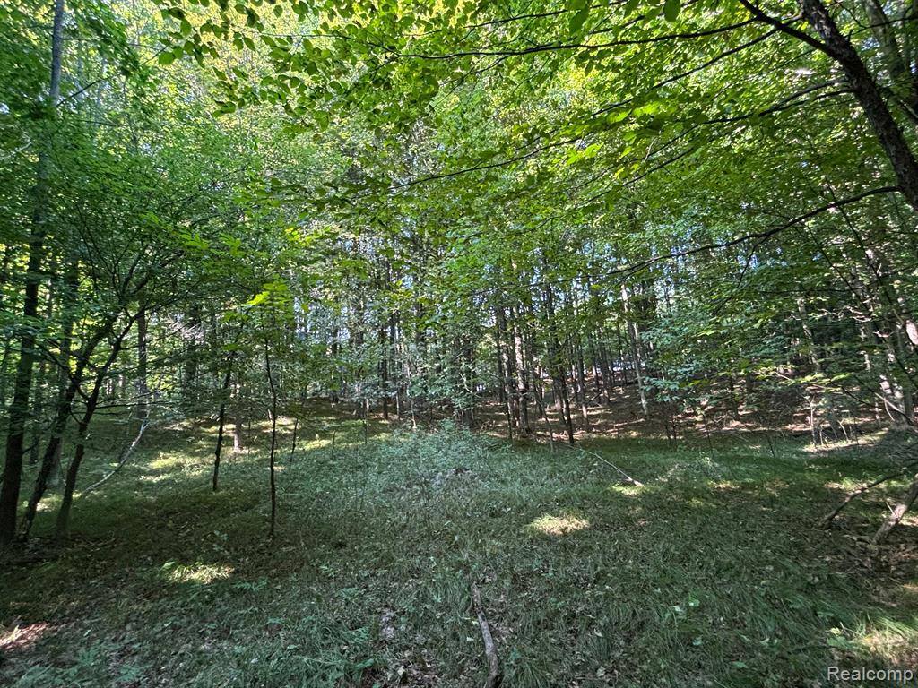 00 Newcosta Road, Barton Township, MI 49338