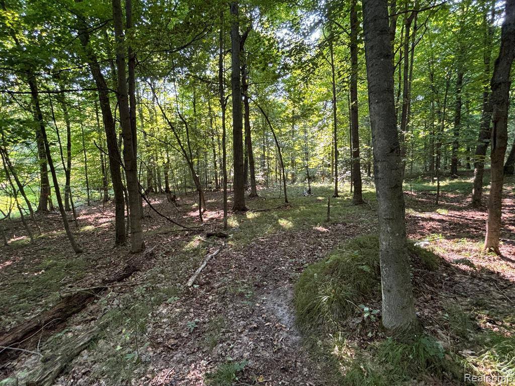 00 Newcosta Road, Barton Township, MI 49338