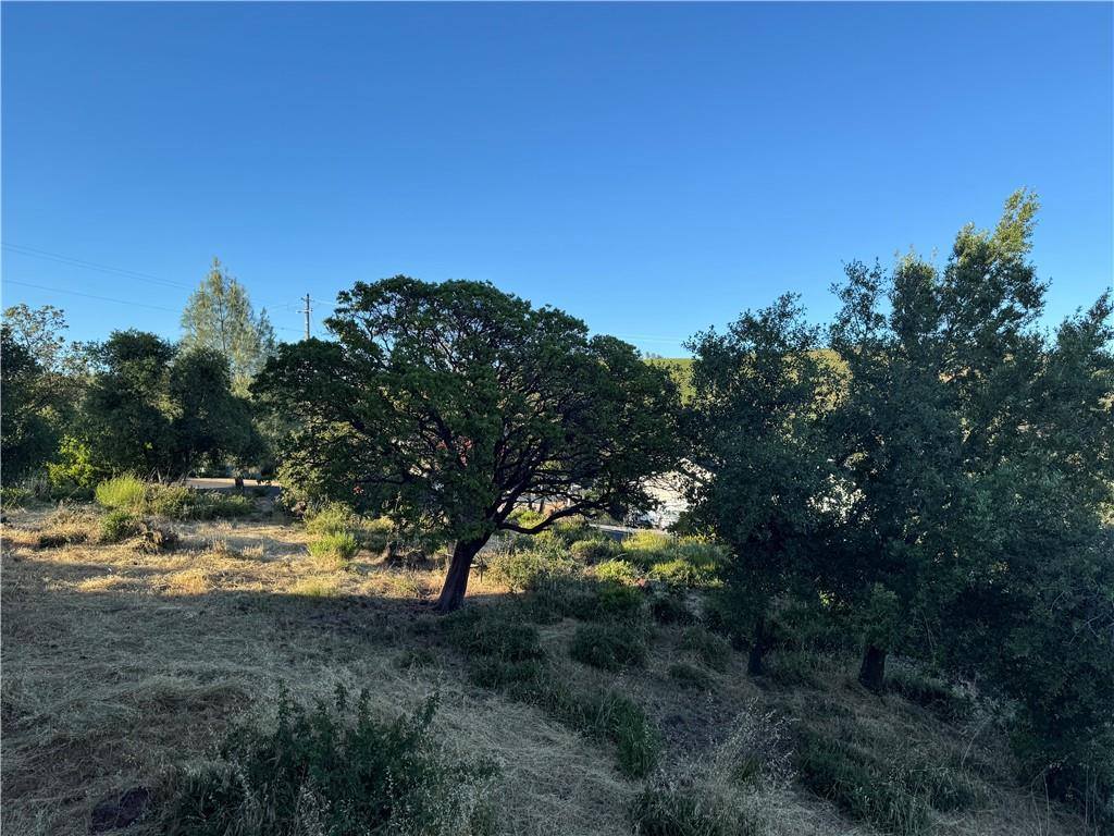 15909 Little Peak Road, Hidden Valley Lake, CA 95467