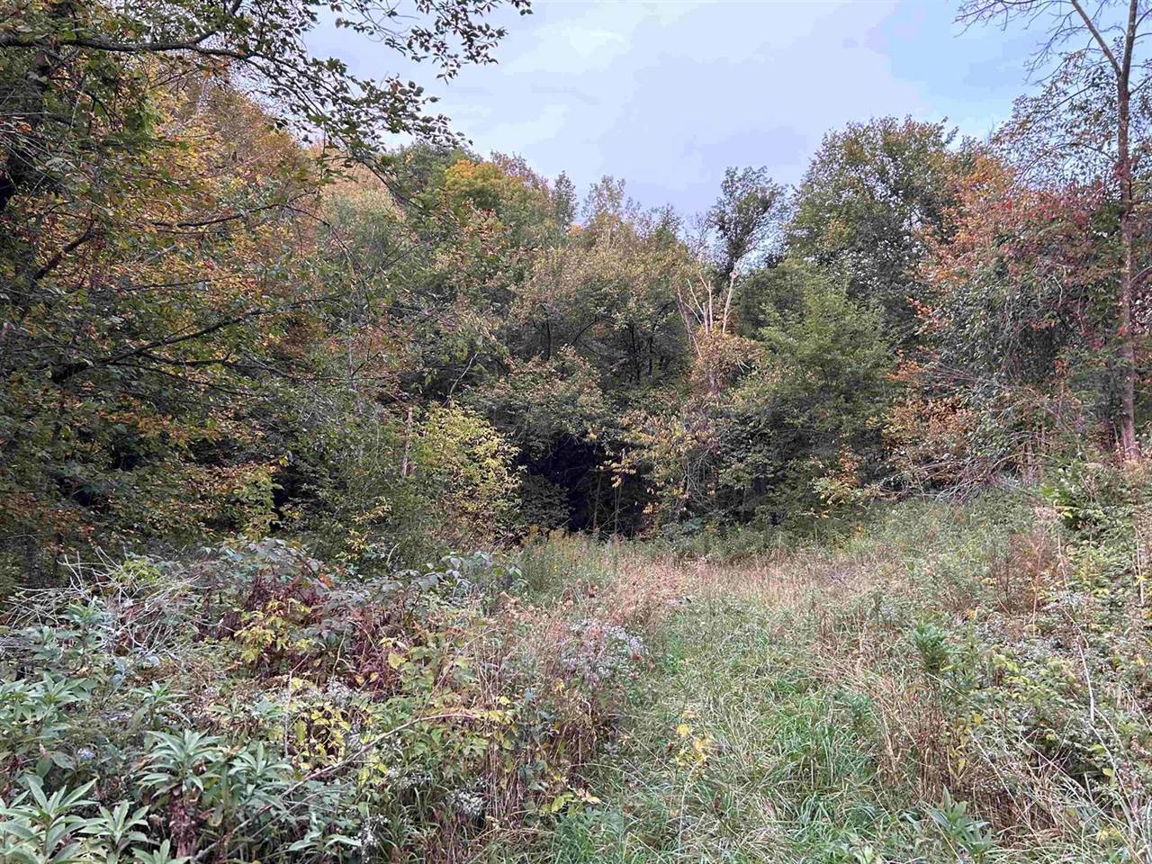 17.02 ac County Highway P, Ontario, WI 54651