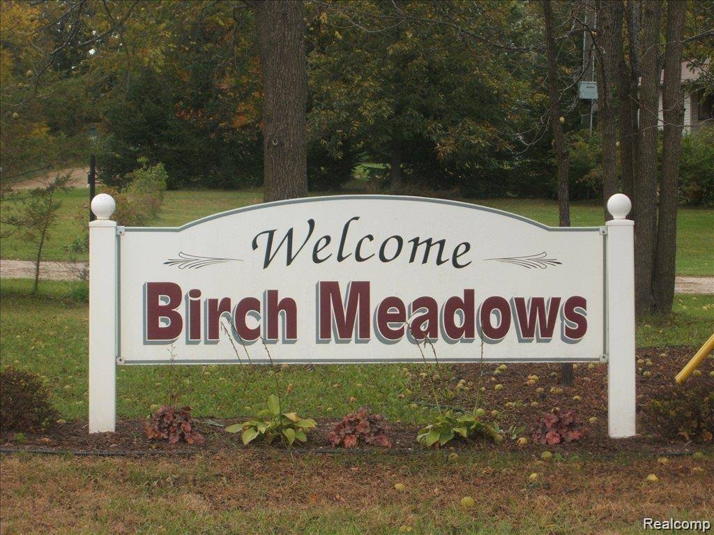 6358 Birch Meadows Lane, Handy Township, MI 48836