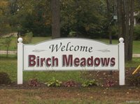 6358 Birch Meadows Lane, Handy Township, MI 48836