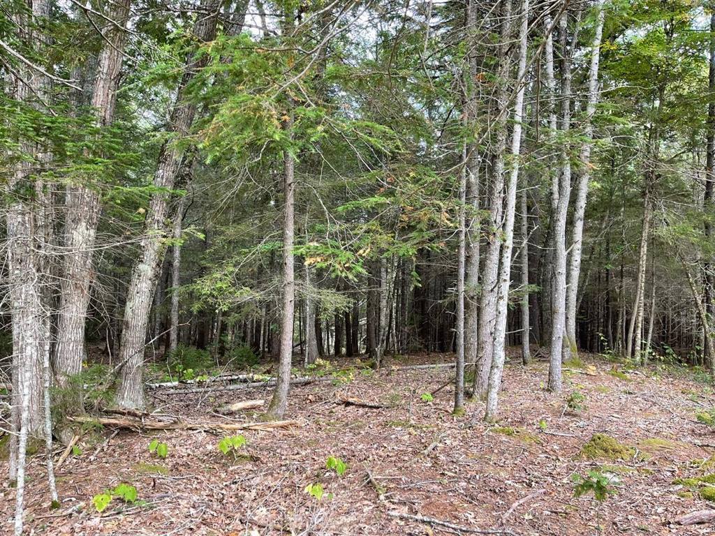 Lot G Blue Ridge Acres, Bristol, ME 04539