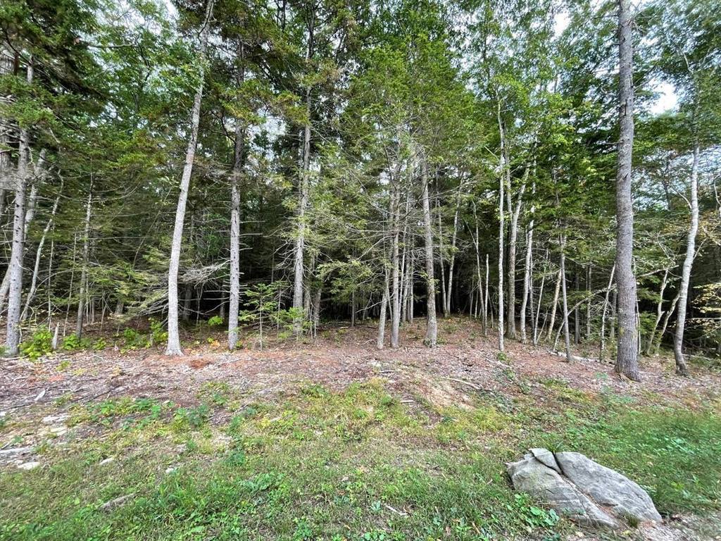 Lot G Blue Ridge Acres, Bristol, ME 04539