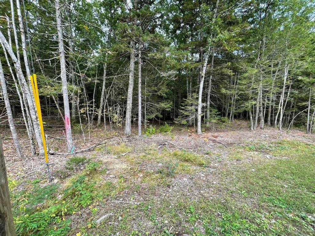 Lot G Blue Ridge Acres, Bristol, ME 04539