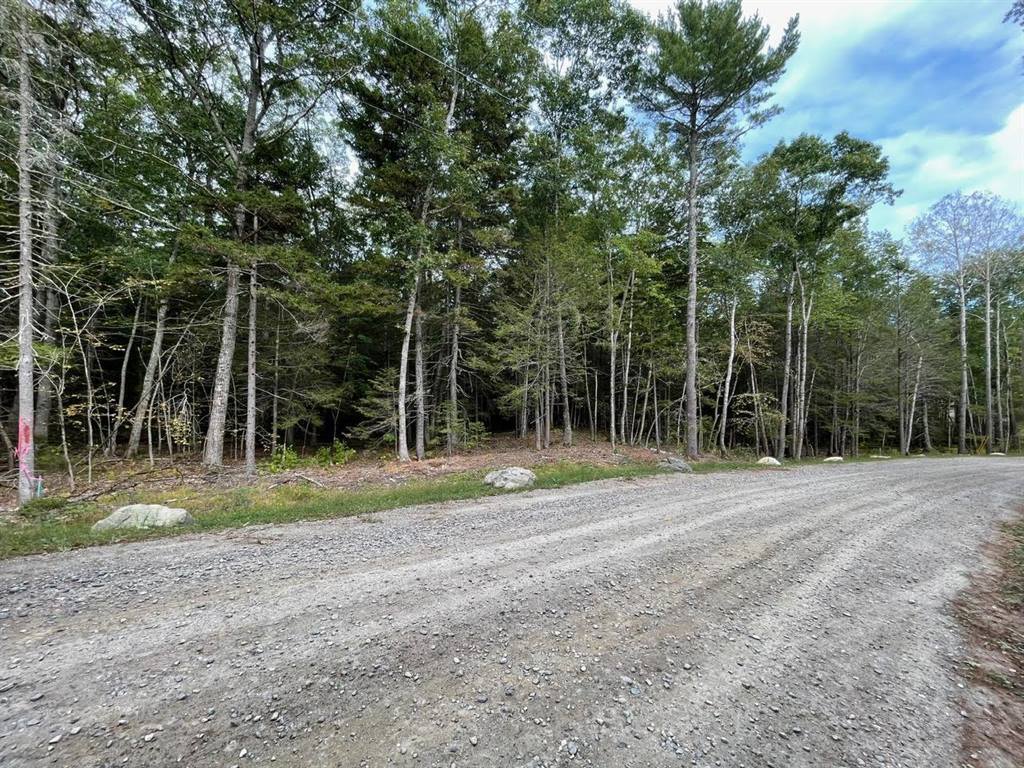 Lot G Blue Ridge Acres, Bristol, ME 04539