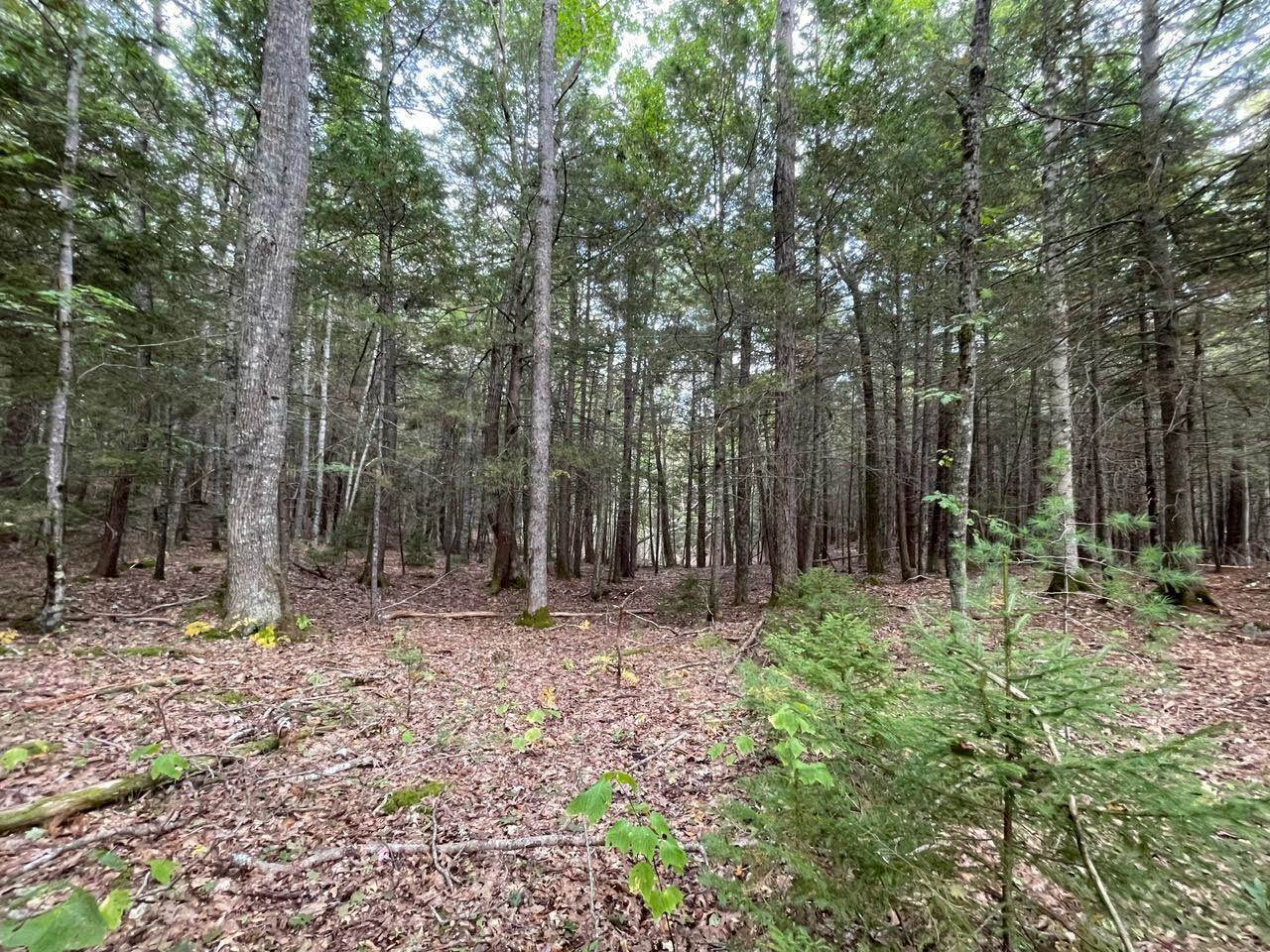 Lot G Blue Ridge Acres, Bristol, ME 04539