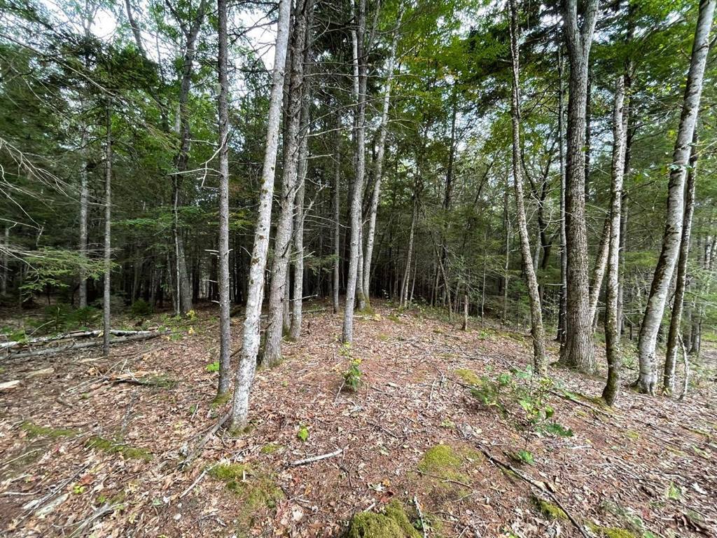 Lot G Blue Ridge Acres, Bristol, ME 04539