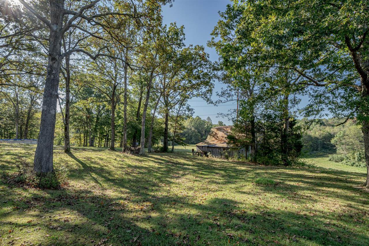 205 Nelson Lane, Brandenburg, KY 40108