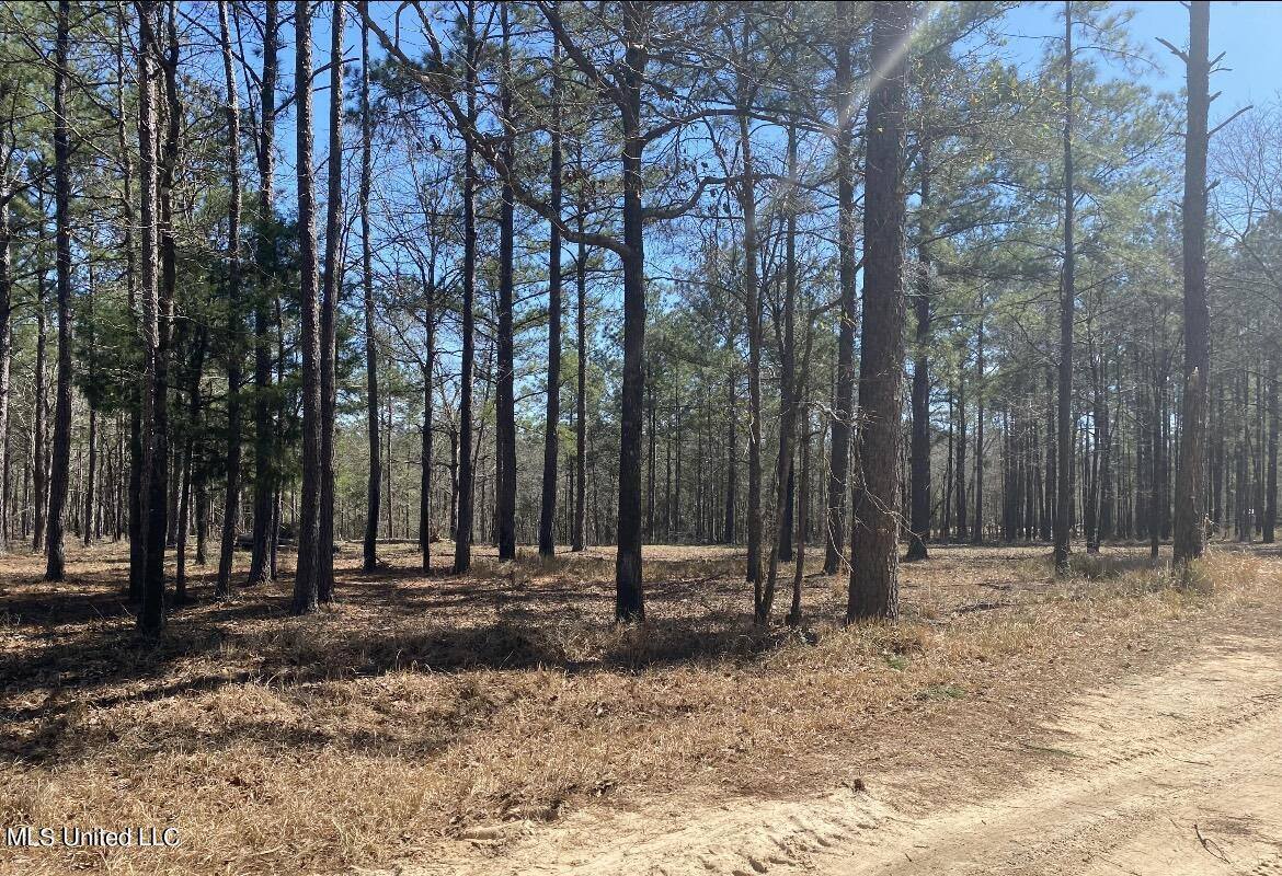 Ben Pierce Lane Lot B, Lucedale, MS 39452