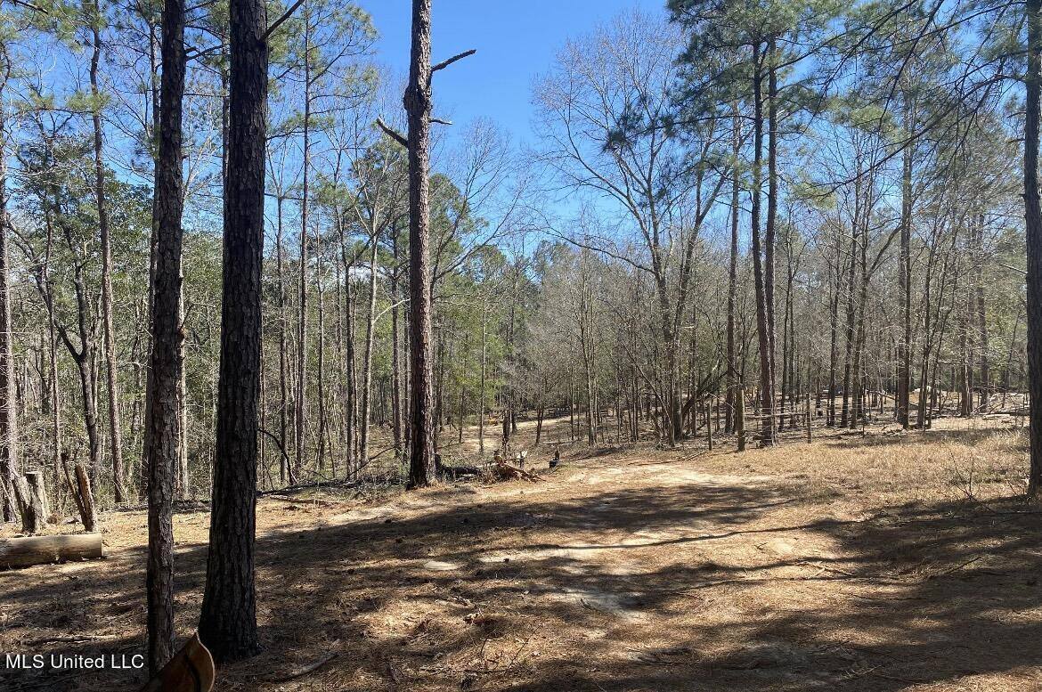 Ben Pierce Lane Lot B, Lucedale, MS 39452