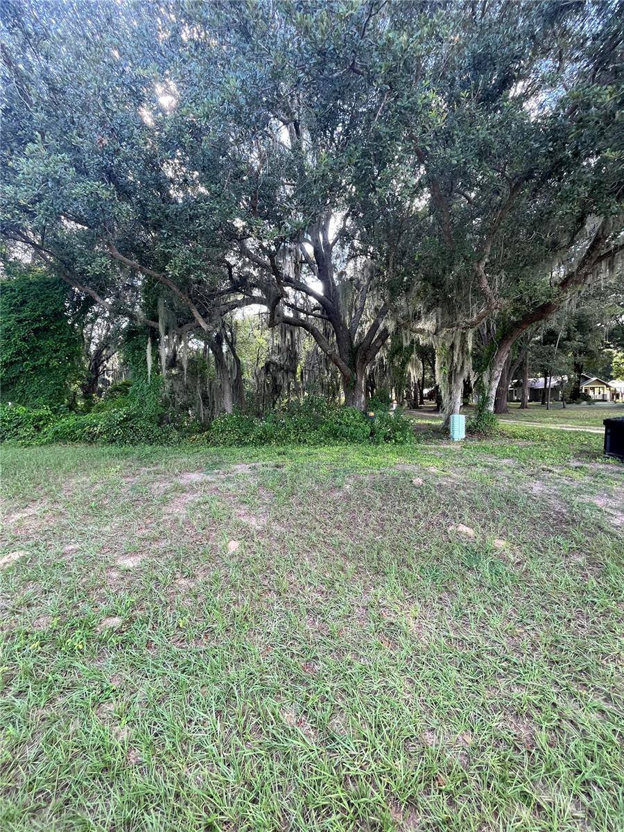 TBD LOT 9 Grass Roots Road, Groveland, FL 34736