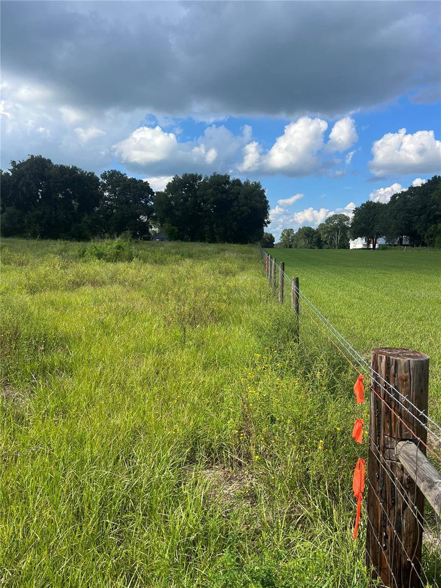 TBD LOT 9 Grass Roots Road, Groveland, FL 34736