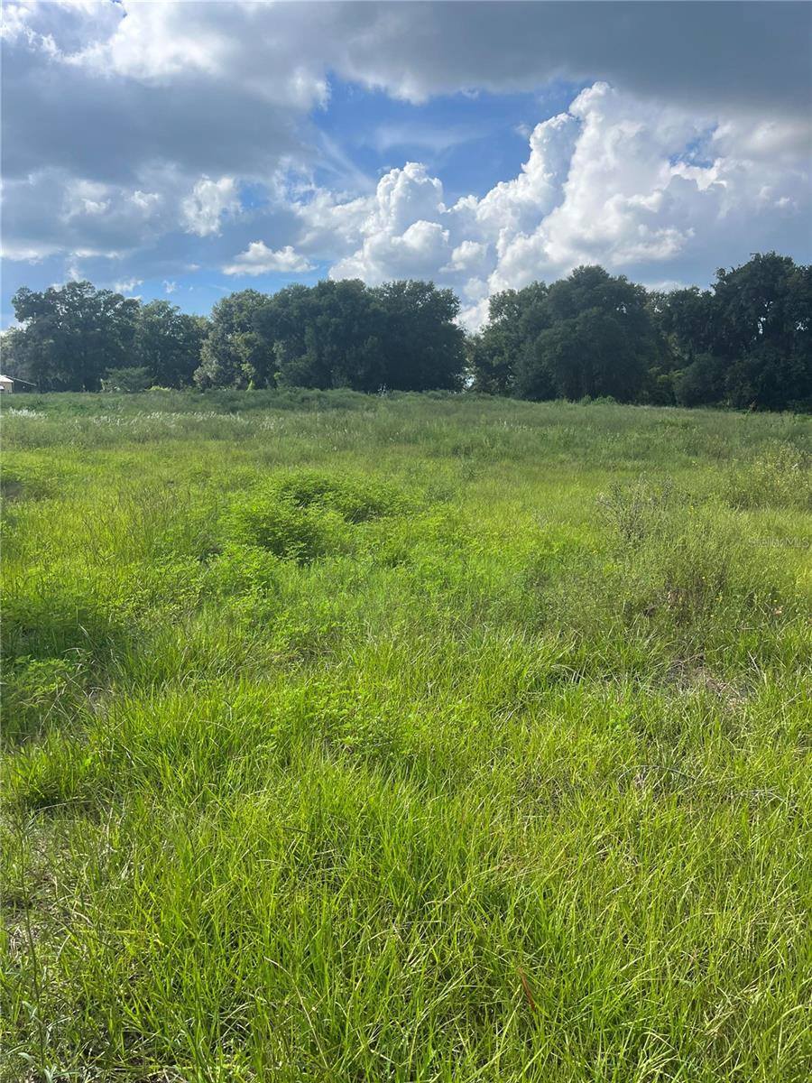 TBD LOT 9 Grass Roots Road, Groveland, FL 34736