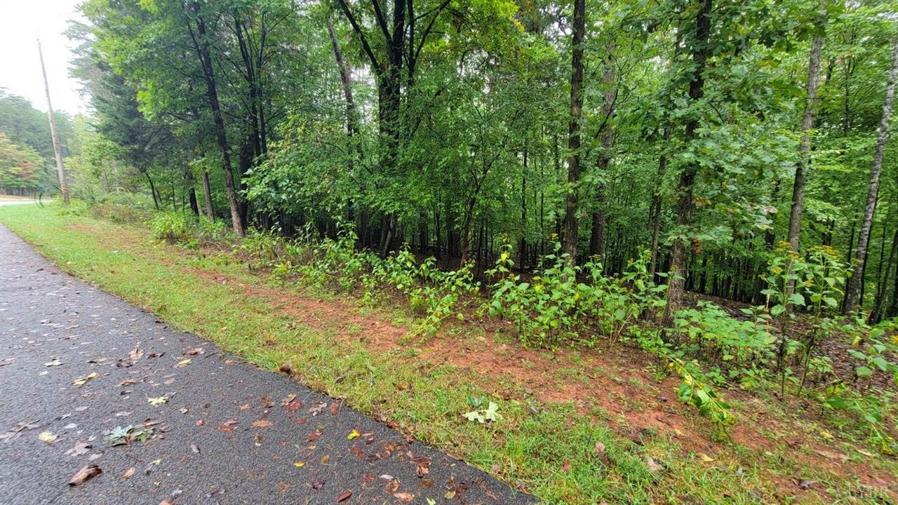 25-Lot Gap Bridge Road, Moneta, VA 24121