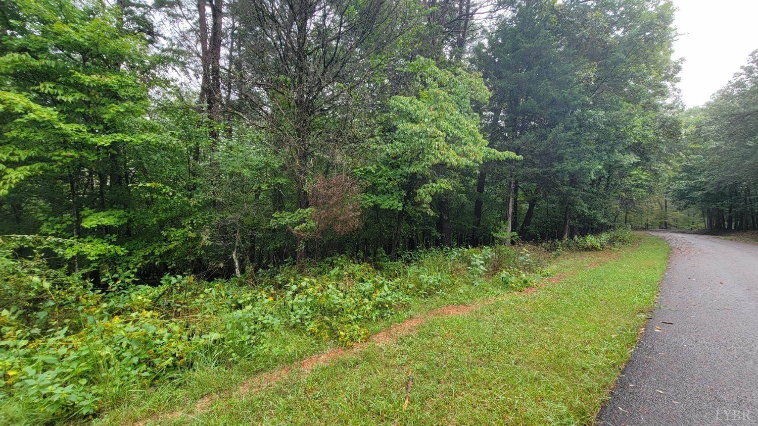 25-Lot Gap Bridge Road, Moneta, VA 24121