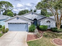 835 Old Oaks Lane, Leesburg, FL 34748