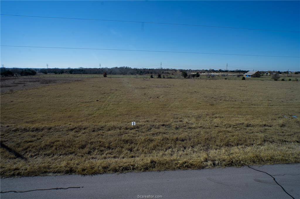 7480 Catalina Hill Court, Bryan, TX 77808