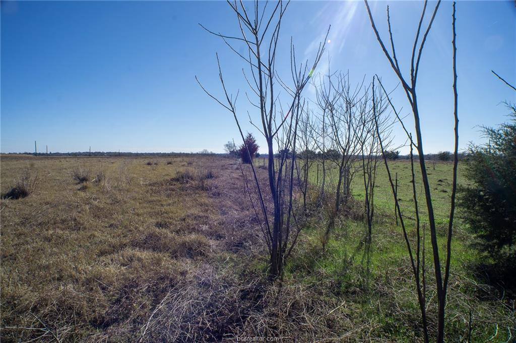 7480 Catalina Hill Court, Bryan, TX 77808