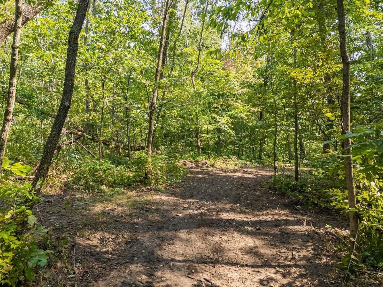 2 + acres Meadow, Loganville, WI 53943