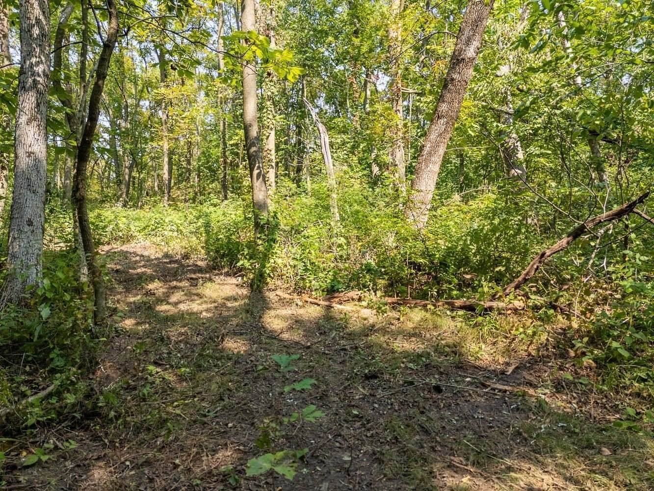 2 + acres Meadow, Loganville, WI 53943