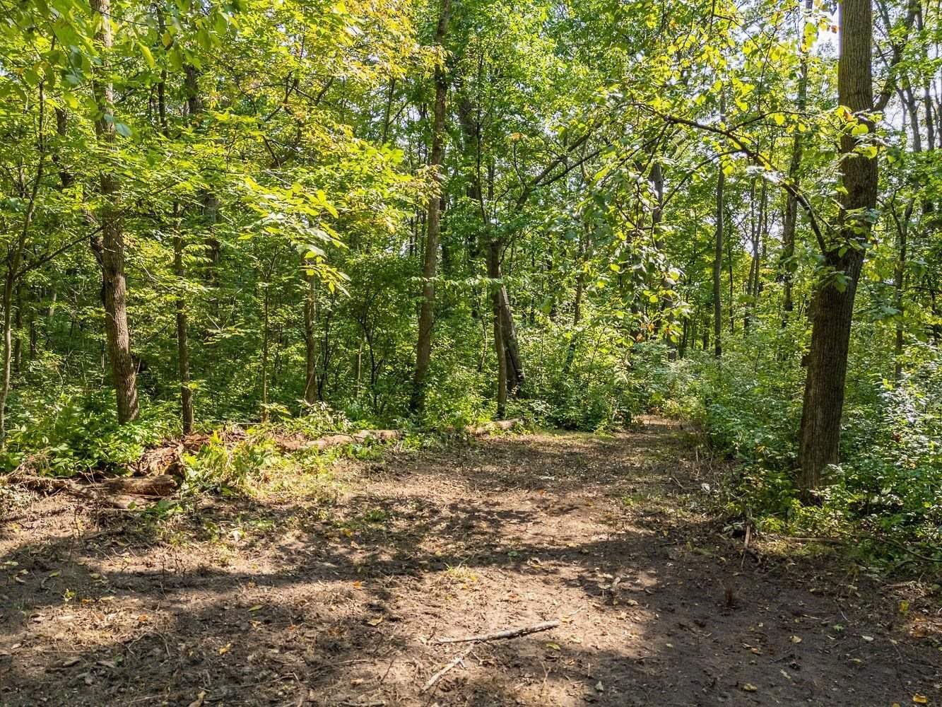 2 + acres Meadow, Loganville, WI 53943