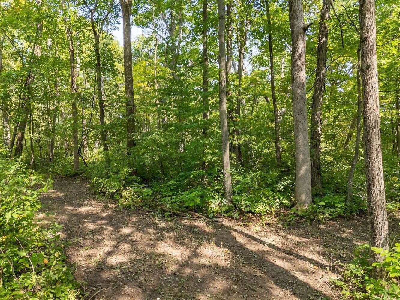 2 + acres Meadow, Loganville, WI 53943